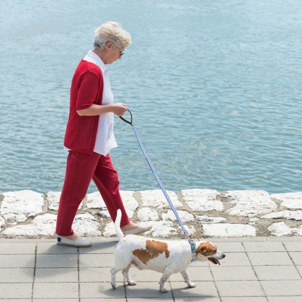 

fashion dog leash durable 3 colors wave pattern pet lead rope for small medium and cat walking collars & leashes