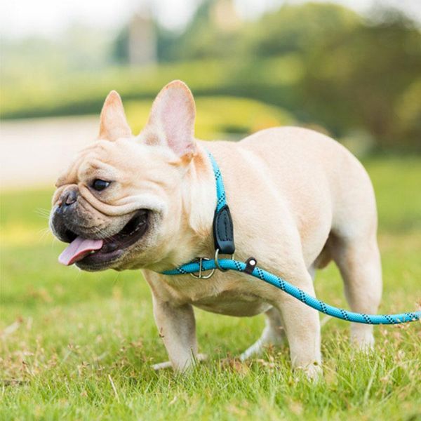 

durable dog leash retractable reflective nylon lead extending puppy walking leads for small medium dogs pet supplies collars & leashes