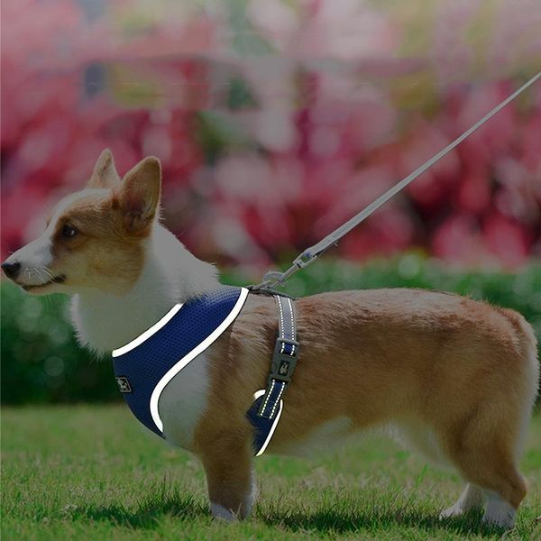 

reflective pet chest harness breathable mesh dog puppy leash products 4colors collars & leashes