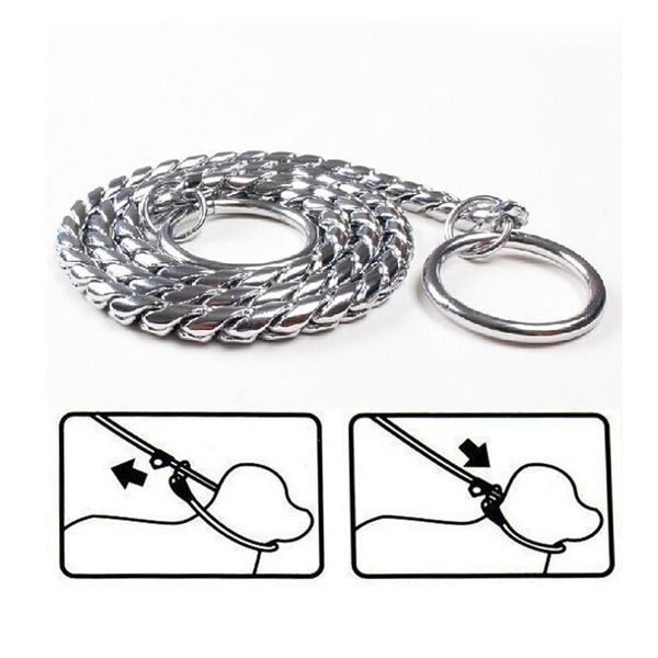 

dog collars & leashes collar pet snake chain products p competition dedicated leash