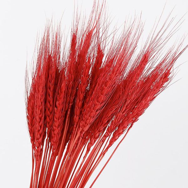 

decorative flowers & wreaths 20pcs colorful wheat flower tail grass natural dried artificial home wedding living room decoration long