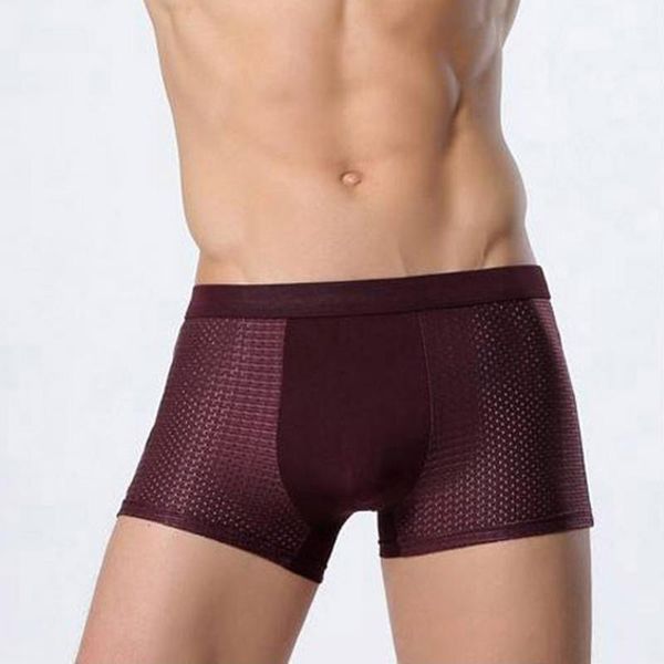 

underpants 2 pieces ice silk thin briefs mesh boxer shorts panties breathable eastic summer cool lingerie moisture absorption underwear men, Black;white