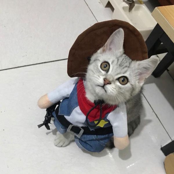 

set creative pet coat funny cat clothes cowboy costume lovely costumes