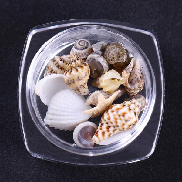 

professional home fashion girls mini tool long lasting conch 3d diy natural nail decoration art decorations, Silver;gold