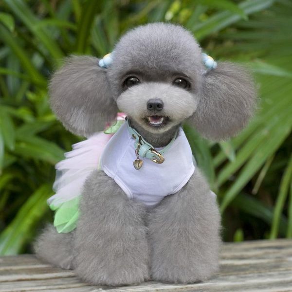 

dog apparel chiwawa wedding dress for small summer mesh dresses pet clothes animals
