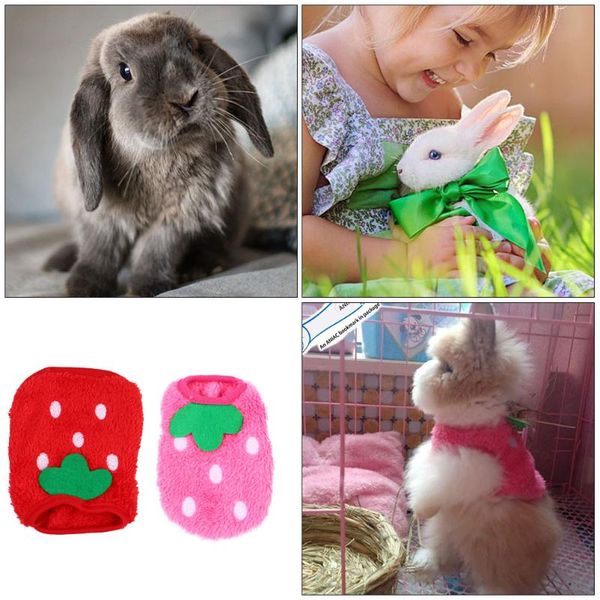 

cat costumes 2pcs pet dog winter clothes puppy apparel breathable warm