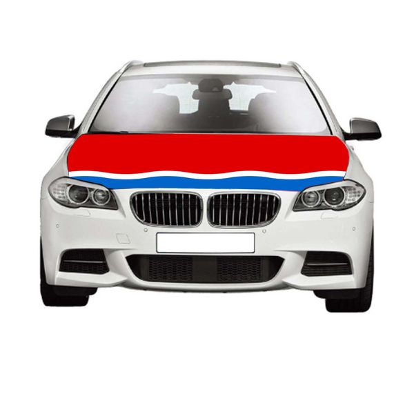 

amur oblast flags 3.3x5ft 100%polyester,car bonnet banner