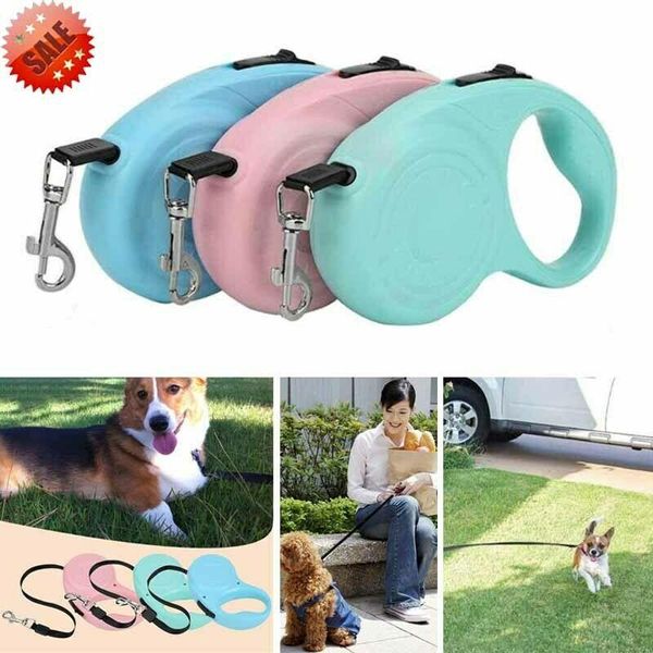 

dog collars & leashes 5m/3m automatic retractable leash belt puppy pet flexible walking traction rope cat extending running leads training