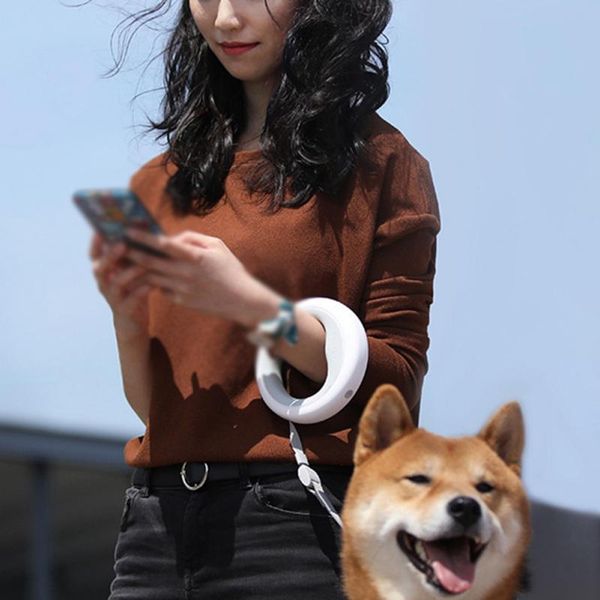 

dog collars & leashes automatic retractable adjustable extending luminous leash leads pet puppy cats outdoor walking accessories