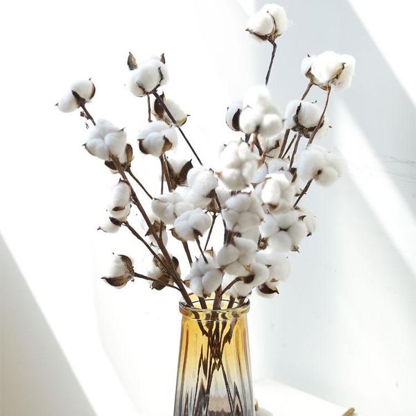 

naturally dried cotton flowers branch 4-21 head bouquet white floral decorative plants for wedding party decoration home & wreaths