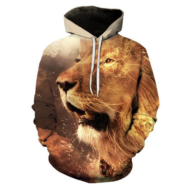 

men's hoodies & sweatshirts the latest fashion casual hoodie hip-hop sweatshirt funny 3d brand plus size sportswear pullov, Black