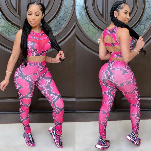 

snake skin mesh spliced womenpant 2 piece set crop and leggings pants sporty sweatsuit womens tracksuits d42 cd24, White