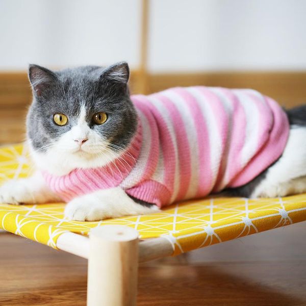 

cat costumes clothes blue kitten british short striped sweater autumn and winter warm pet two-legged turtleneck