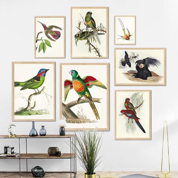 

paintings colorful hummingbird parrot bird vintage wall art canvas painting nordic posters and prints pictures for living room decor