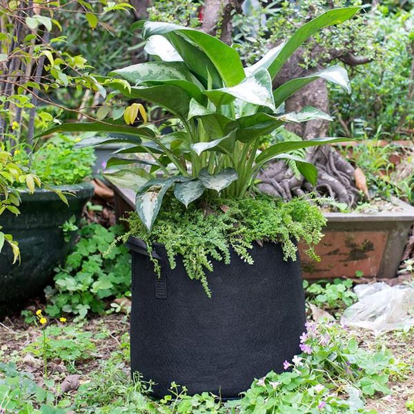 

planters & pots 5pcs plant potato grow bag garden pot greenhouse vegetable growing bags vertical seedling container