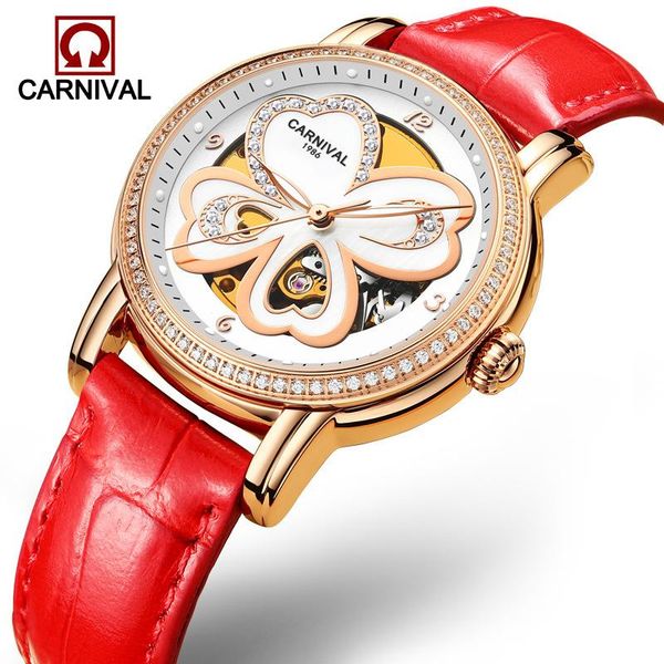 

wristwatches carnival brand women mechanical watch ladies luxury fashion sapphire automatic waterproof luminous relogio feminino, Slivery;brown
