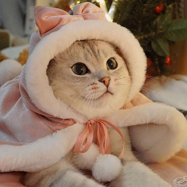 

cat lolita princess cape cloak autumn and winter clothes costumes