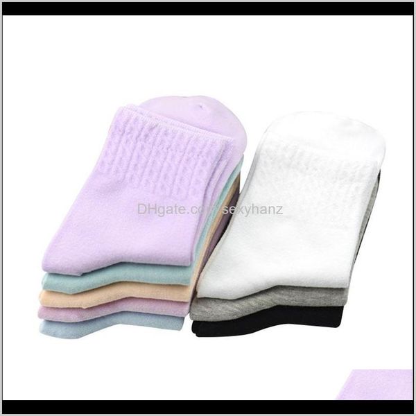 

hosiery 5 pairlot women combed cotton classic black white grey candy solid color long socks casual in tube sock winter girl meias 6kgl dvm4g