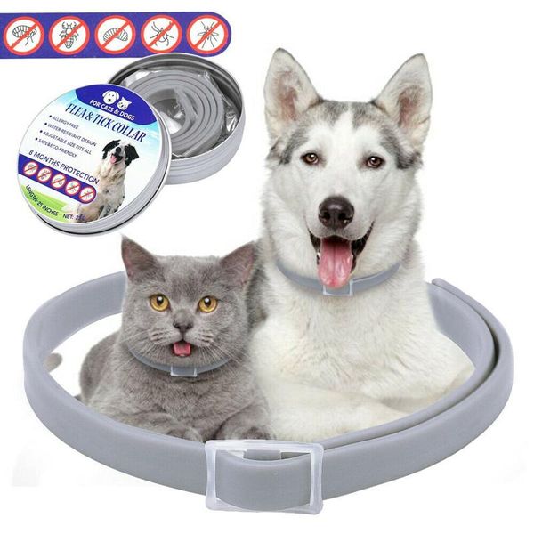 

practical cats dogs pets flea and tick collar adjustable long-term protection dog cat anti mosquito insect collars & leashes
