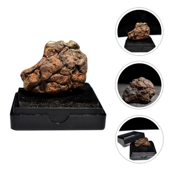 

decorative objects & figurines lithosiderite adornment meteorite ornament classroom teaching specimen