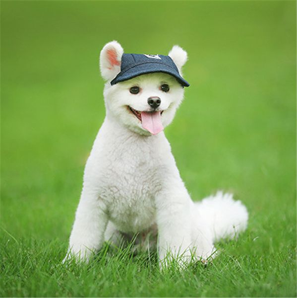 Mode Haustier Sonnenhut Hunde Katze Baseball Cap Welpen Hund Hüte Kopfschmuck Zubehör