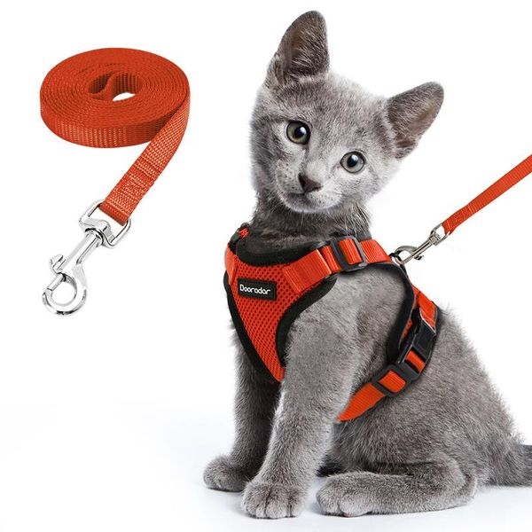 

cat collars & leads harness and leash set for walking small dog with reflective strips nylon mesh pet clothes puppy kitten
