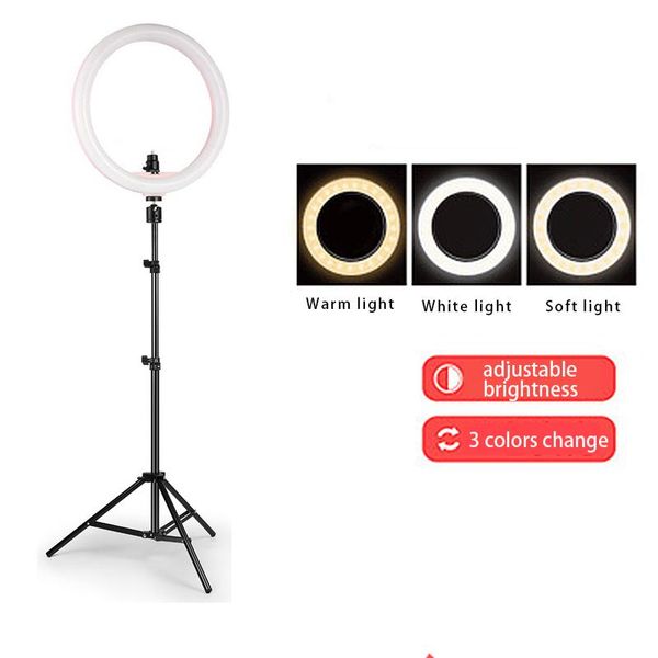 

floor lamps dimmable led selfie ring light lamp youtube video live 3200-5500k po studio with phone holder usb plug and 1.1m tripod