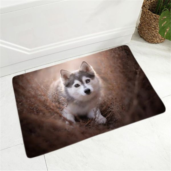 

soft flannel doormat decor siberian husky dog door mat non-slip hallway pet animal carpet rug for dining room bedroom floor carpets