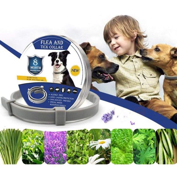 

adjustable anti flea tick neck collar for dog cat pet 8 months protection collars supplies small & leashes