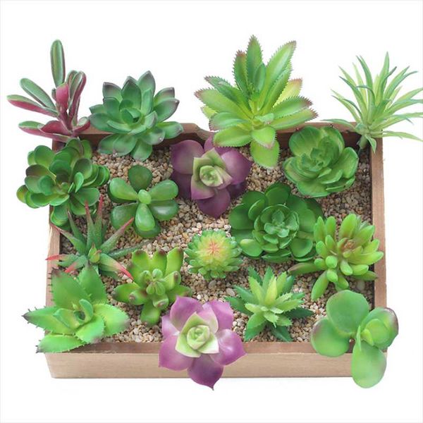 

decorative flowers & wreaths mini artificial succulent plant flower fake for home table decoration office bonsai cute garden decor