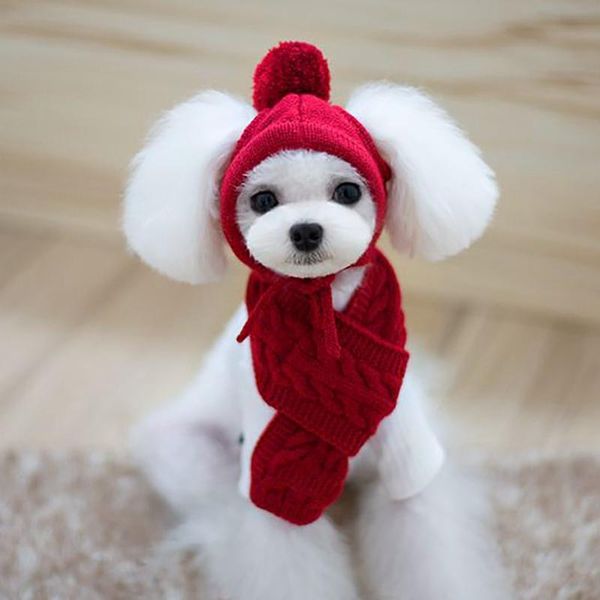 

dog apparel warm cute pet winter knitting hat and scarf set, solid colored cold weather neck head warmer costume