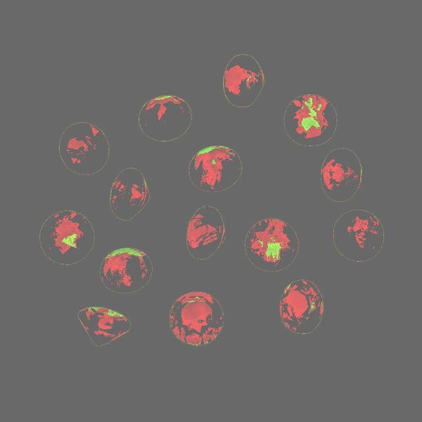 

loose diamonds faceted cut gemstone 4mm natural moonstone 0.2ct, Black