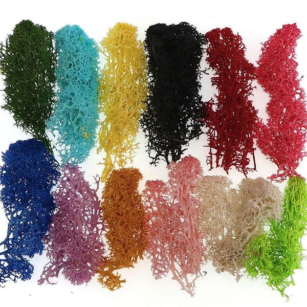 

decorative flowers & wreaths artificial green plants eternal life moss grass home living room garden decoration mini landscape fake flower d