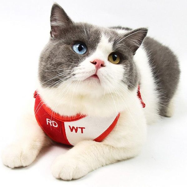 

dog harness vest pets breathable mesh vests cat chest dogs leash practical items collars & leashes