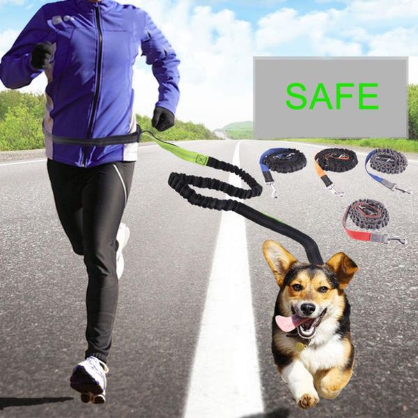 

dog collars & leashes pet accessories elastic traction rope running hyena supplies and