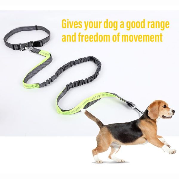 

dog collars & leashes dogs leash running hand y adjustable nylon pet traction rope elasticity harness collar jogging waist