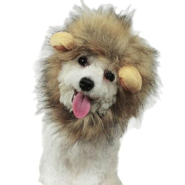 

cat costumes clothes small dog hat cute funny and supplies
