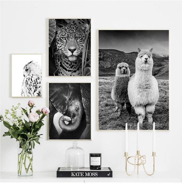 

paintings jaguar cow cute alpaca animal poster and prints black white wall art nursery canvas painting pictures for living room home decor