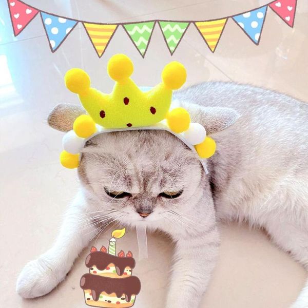 

pet cat three-dimensional crown headband birthday headdress pography props costumes