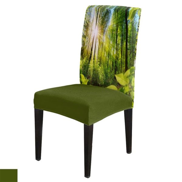 

chair covers green forest sun natural landscape cover for dining room table chairs kitchen tablecloth home decor