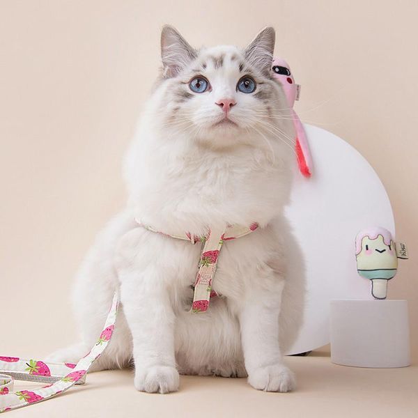 

cat collars & leads anti-break adjustable harness strong and durable outing supplies accessories small dog