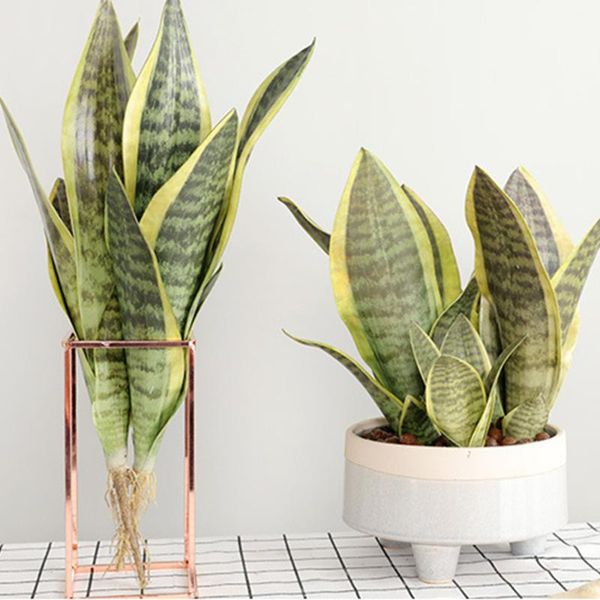 

artificial plants fake sansevieria prian leaves branch ornament for home wedding party reusable 35/40/47cm in stock mumr999 decorative flowe