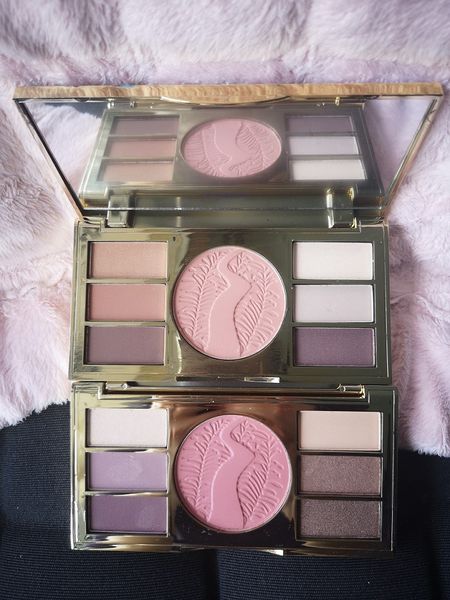 

Eye and Cheek Palette 6 Eyeshadow + 1 Blush High Performance Natural Eyes Shadow Pigmentation Plus Face Blushed Powder Makeup Palettes Miracles of the Amazon