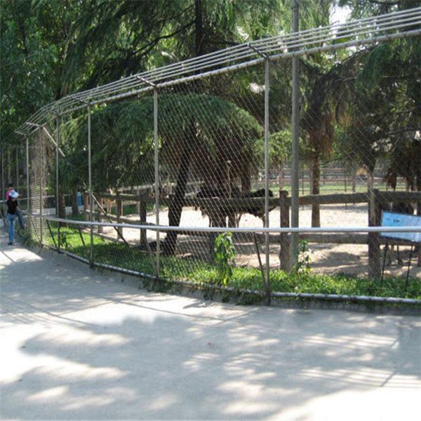 

zoo enclosure stainless steel metal fencing cages rope wire mesh net bird