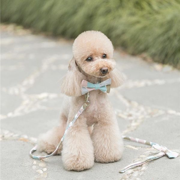 

cat collars & leads chihuahua poodle fashion pet dog walking harness and leash set small puppy beautiful supplies