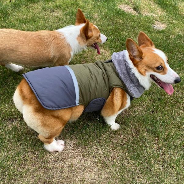 

dog apparel xs-3xl vest jacket warm reversible coat-thick padded comfortable winter windproof fur collar