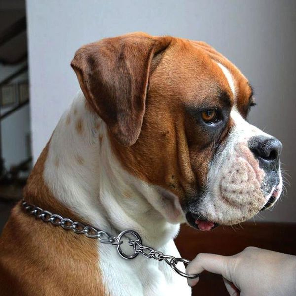 

metal adjustable stainless steel chain dog collar double row chrome plated choker training show safety control s-4xl apparel