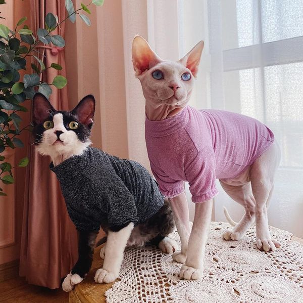 

cat costumes clothes for cats