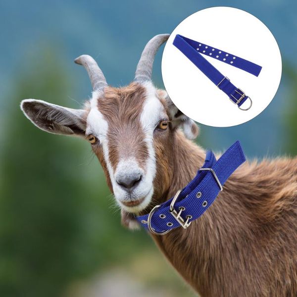 

cat collars & leads 1pc practical dog necklace decorative pet collar cotton fiber