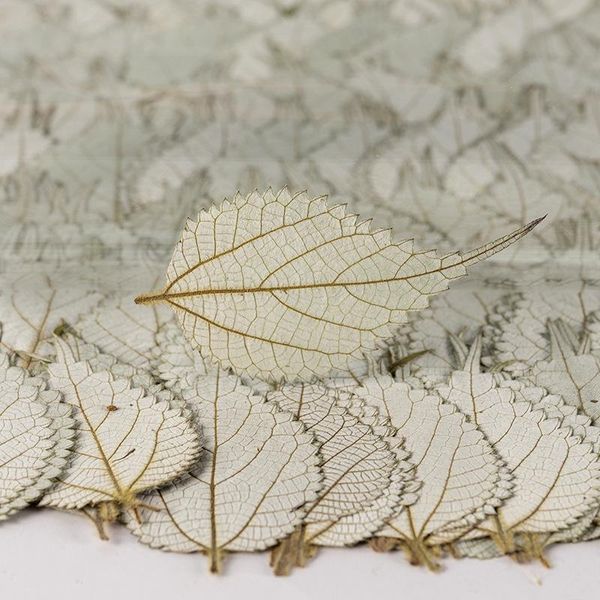 

decorative flowers & wreaths 24pcs/pack pressed dried plant specimen nail decorations necklace jewelry making craft embossing phone case boo